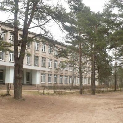 Школа г.п. Будогощь. Школа построена в 1963 году. На сегодняшний день там обучаются 347 детей.
