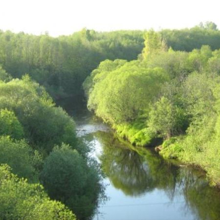 Река Пчевжа. По территории поселения протекают 2 реки - Пчевжа и Шарья.