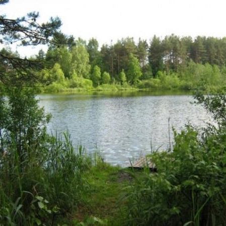 Зелёное озеро. На территории поселения всего 7 озер: Острочинное, Зеленое, Черемуховое, Светлое, Зимнее, Линное, Мошное.