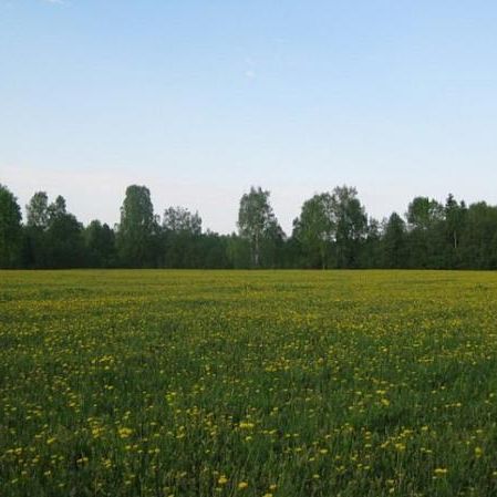 Сельхозугодья. На территории Будогощского поселения земли сельскохозяйственного назначения занимают 6,4 % общей площади